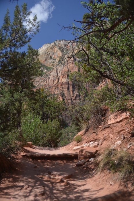 along the Emerald Pools Trail